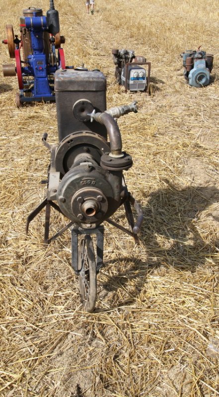 RB0A7121.JPG