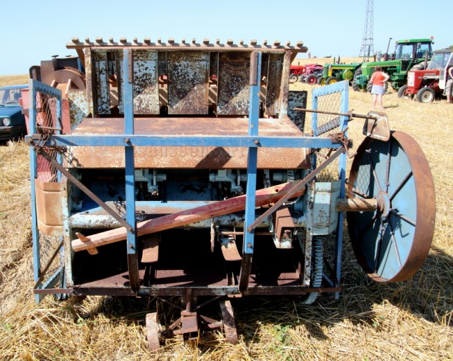 RB0A7143.JPG