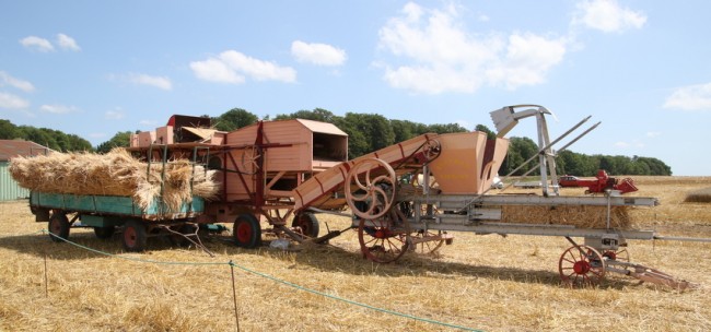 RB0A7353.JPG