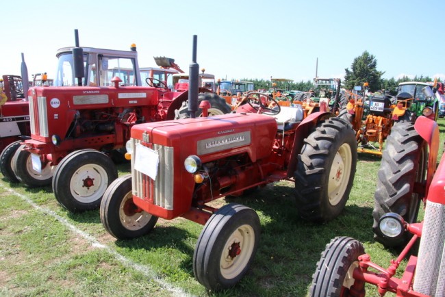 RB0A7810.JPG