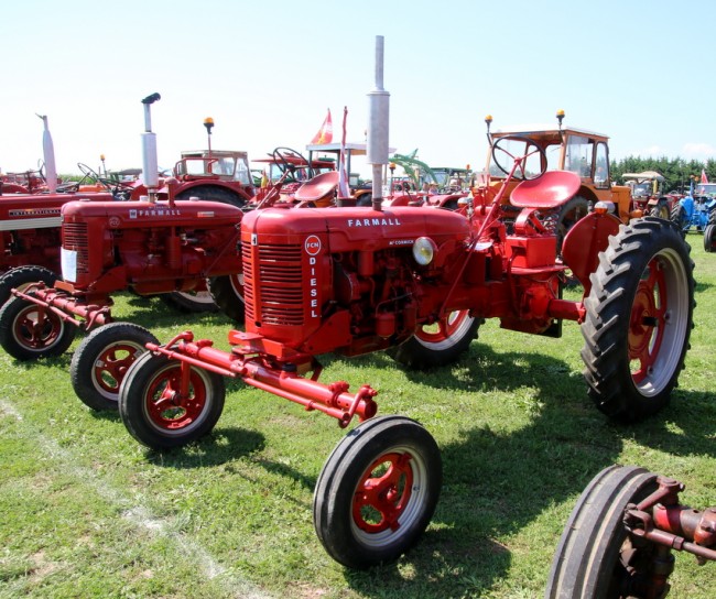 RB0A7820.JPG