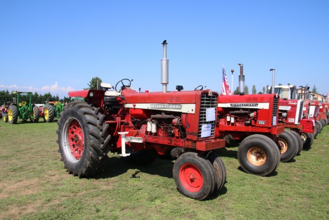RB0A7849.JPG