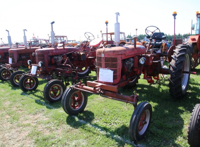 RB0A7947.JPG