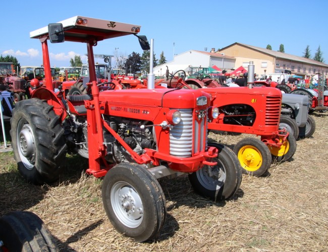 RB0A7884.JPG