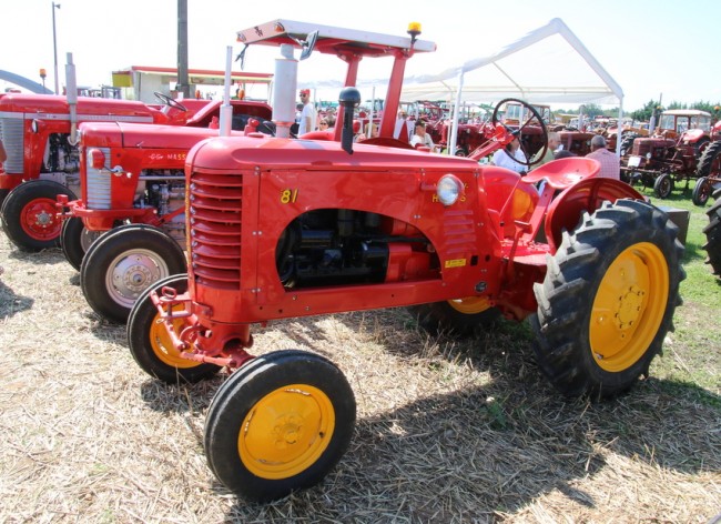 RB0A7885.JPG