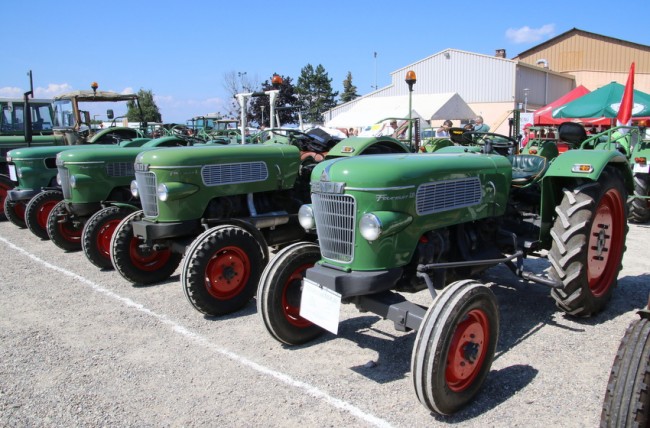 RB0A7896.JPG