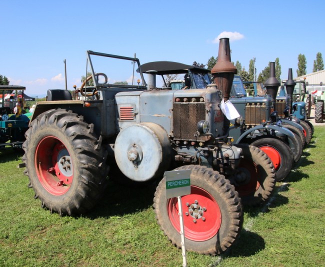 RB0A7917.JPG