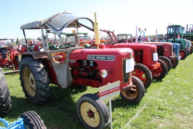 RB0A7937.JPG