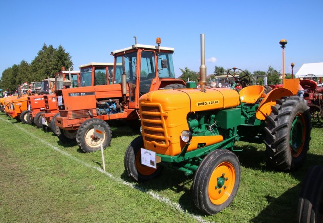RB0A7944.JPG