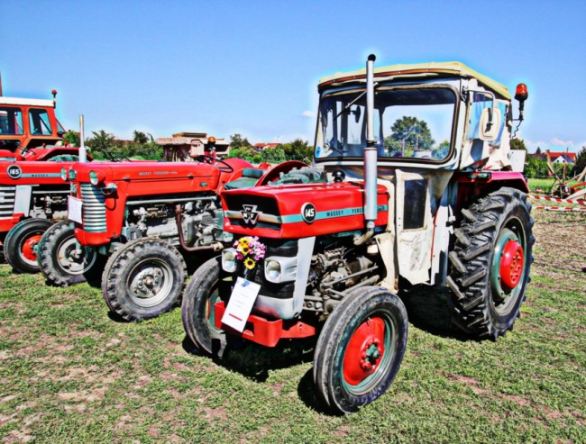 RB0A7981-001.JPG