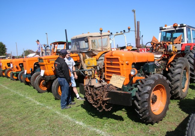 RB0A7990.JPG