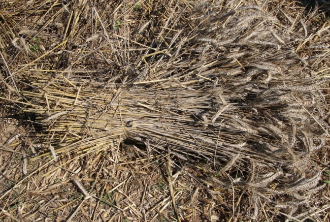 RB0A8027.JPG