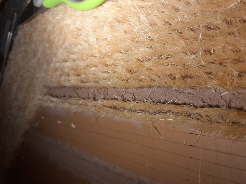 20190904_211438.jpg