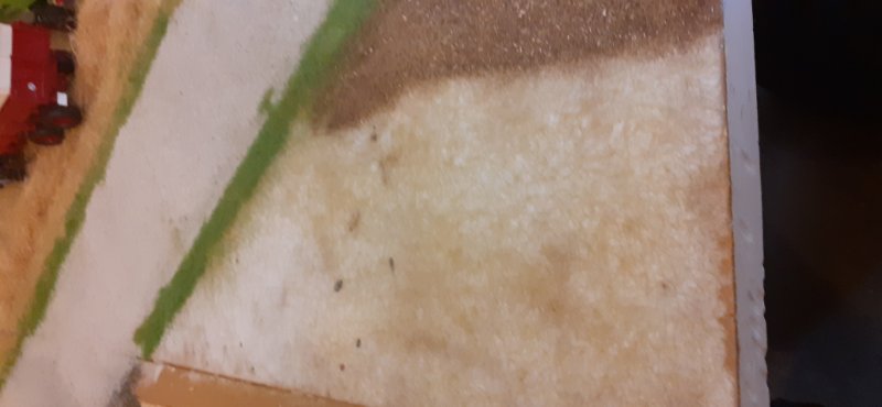 20190929_161857.jpg