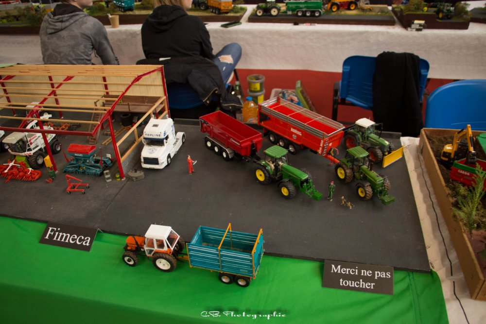 IMG_8303.jpg