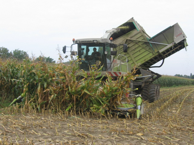 Ensilage 2 ch 054.jpg