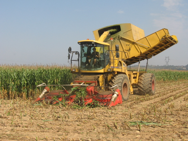 Ensilage F2005 015.jpg