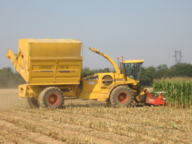 Ensilage F2005 017.jpg