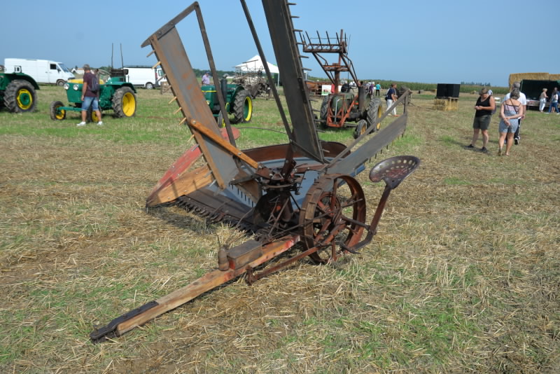 DSC_398020170827_11243.jpg