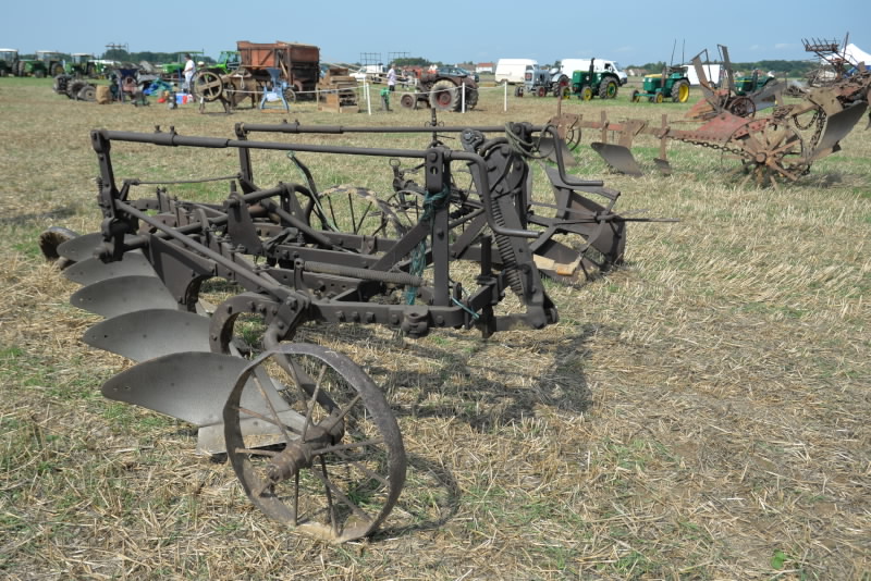 DSC_406320170827_11324.jpg