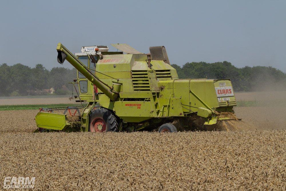 Claas Mercator 75-0986.jpg