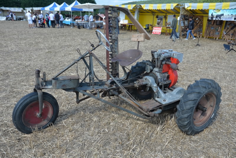 DSC_418020170902_11445.jpg