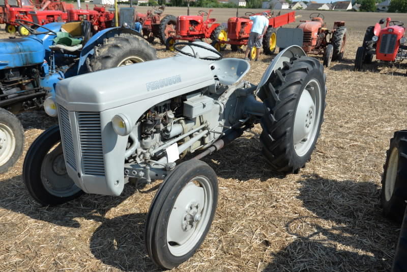 DSC_421420170902_11479.jpg