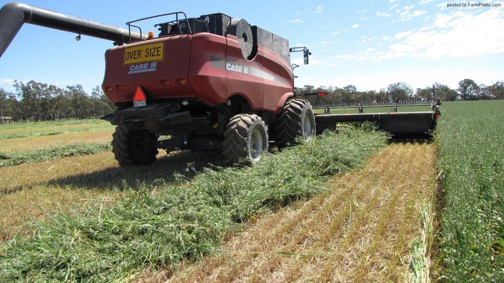 Case IH 8010 faucheuse 3.jpg