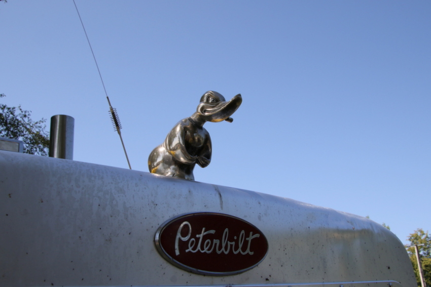 RB0A1647.JPG