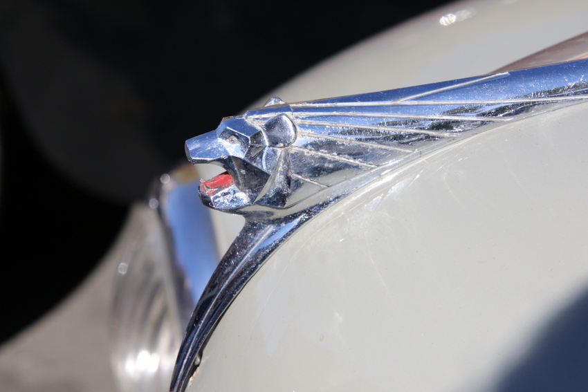 RB0A6210.JPG