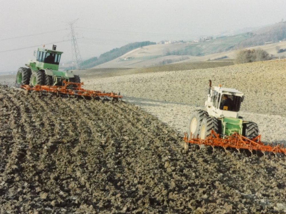 steiger vandel 014.JPG