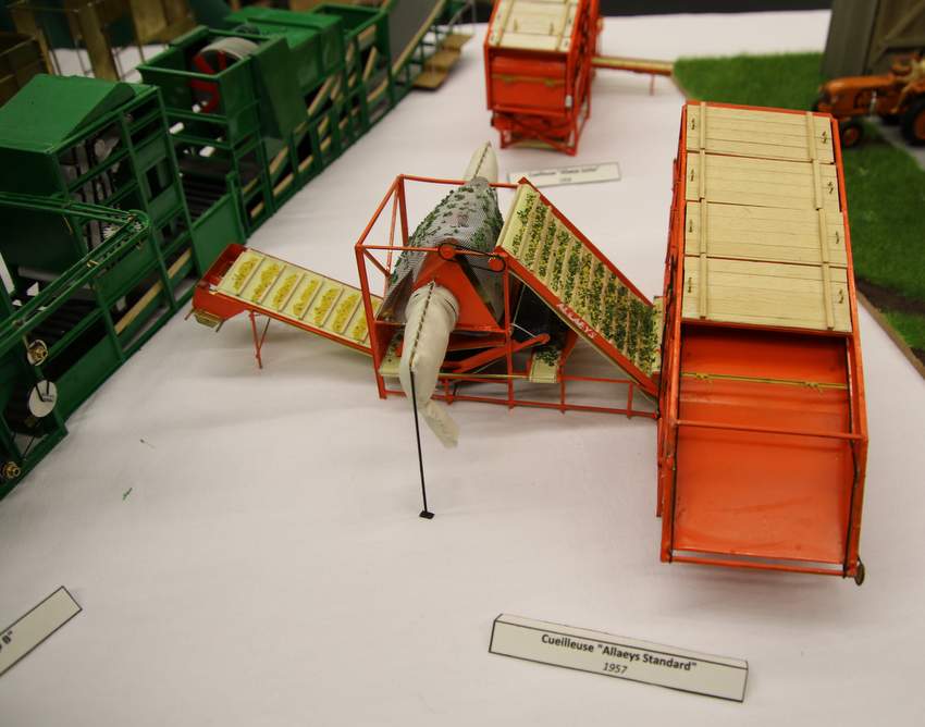 RB0A7835.JPG