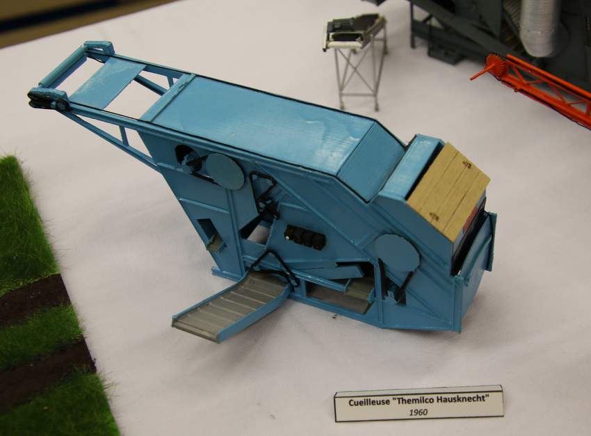 RB0A7847.JPG
