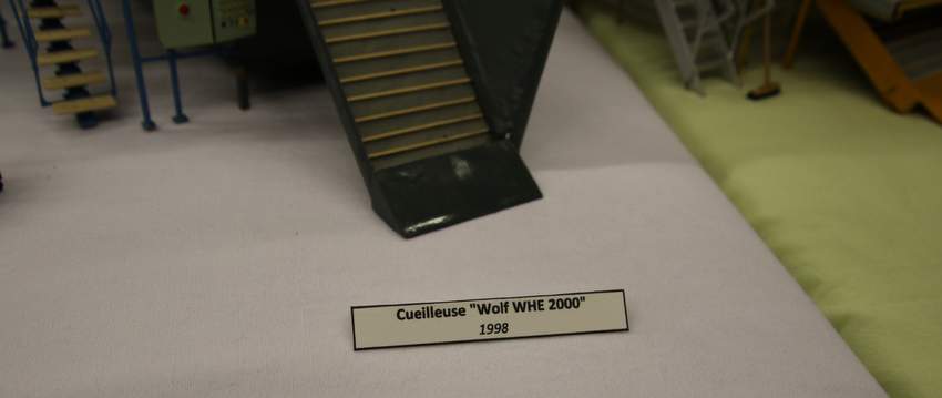 RB0A7852.JPG