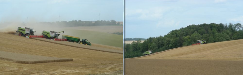 Claas Lexion.jpg