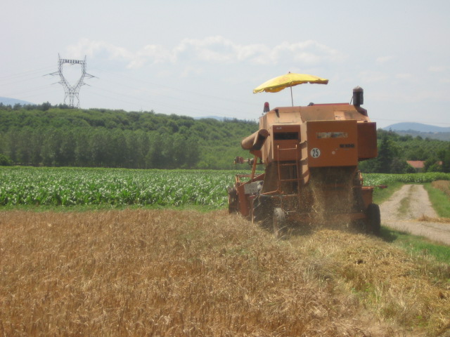 Agri 2007 004.jpg