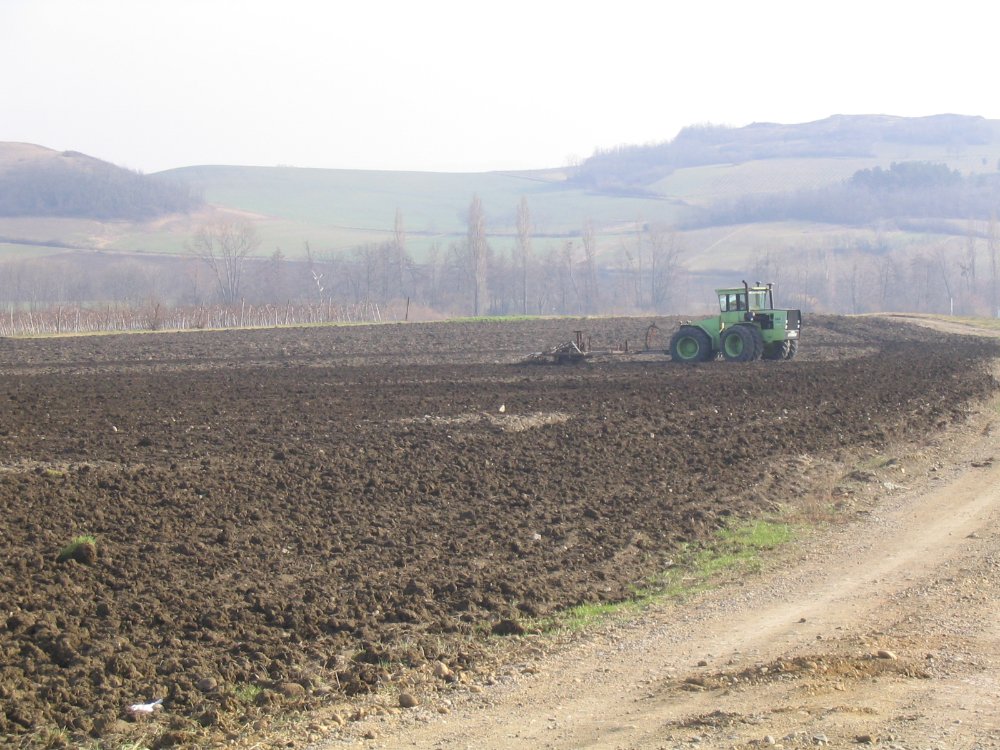 Steiger cougar 001.jpg