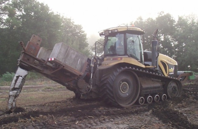 Landes Octobre 2012 355.JPG