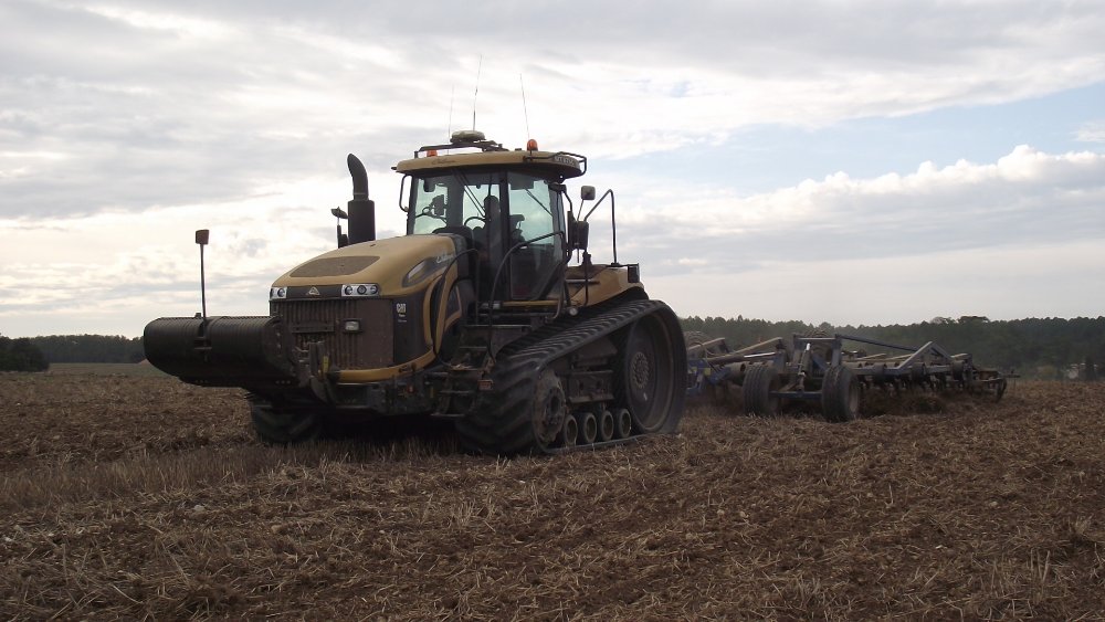 Landes Octobre 2012 1013.JPG