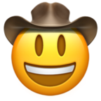 (cowboy)